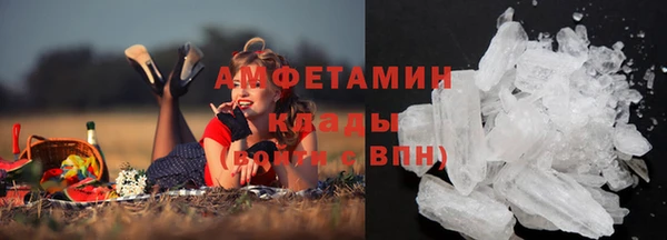 ПСИЛОЦИБИНОВЫЕ ГРИБЫ Алексин