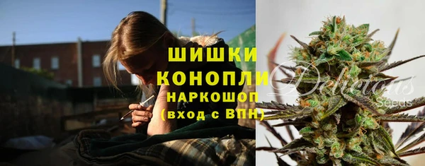 ПСИЛОЦИБИНОВЫЕ ГРИБЫ Алексин
