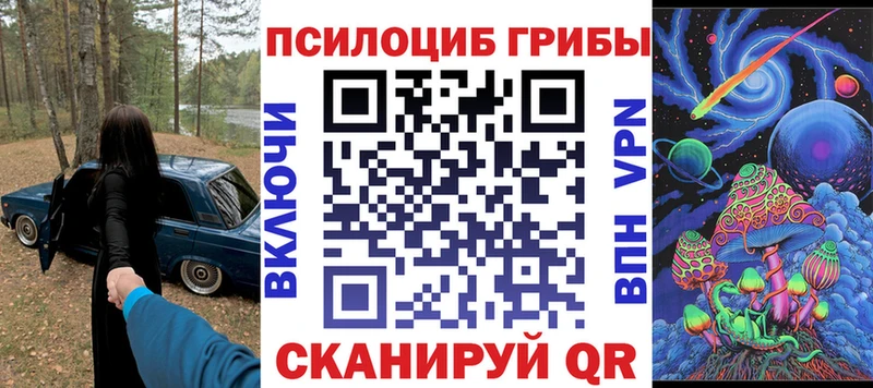 Псилоцибиновые грибы Psilocybine cubensis Ветлуга